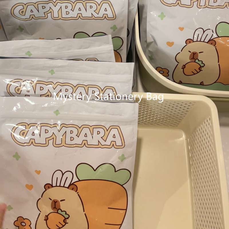 Mystery Bag(cannot customized specific character)