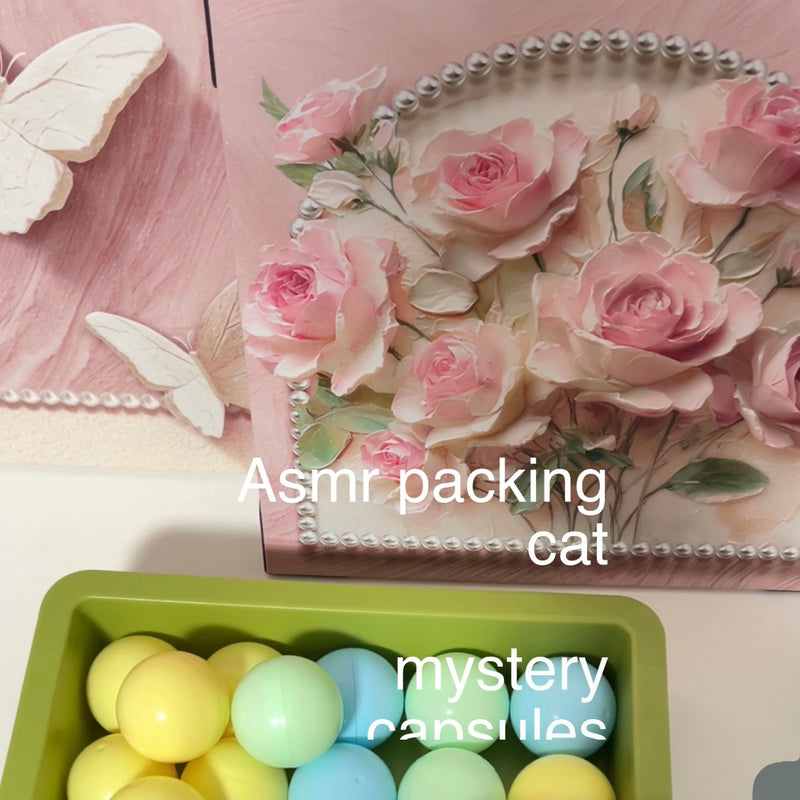 cat Theme Mystery Capsules - Fun & Surprising Kawaii Stationery